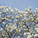 뚜루하우스 이미지