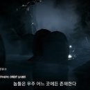 팀엘리트 이미지