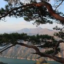 어름골맛집 이미지