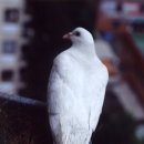 새 이미지