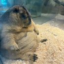 북면309 | 개강후기..