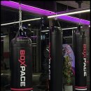 복싱 스튜디오 이미지