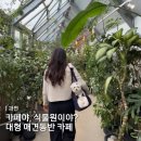 서동라이프가구 | 과천 식물원 카페, 여유로운 대형 애견동반 카페 찾는다면 여기로