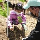 친환경태양목장 이미지