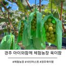 욱이농장 이미지