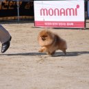 이천공설운동장 이미지