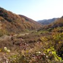 로하스밸리 이미지