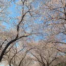 암곡와동 이미지