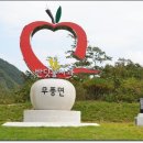 김홍규 농장 Daum카페
