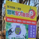 환이네농장 이미지