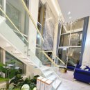 에다모니아 이미지