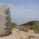 남해-115 이미지