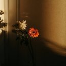 너의 등뒤로 ㅡ 너의 온기가 이미지