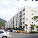 대자연공인중개사사무소 이미지