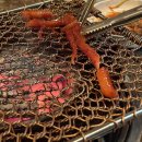 너비집 | 구워주는 식당 정갈한 한우 코스요리 맛집 “너비집” 너비스페셜코스 내돈내산 솔직후기(맛/메뉴/주차 등)