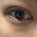 금호타이어 울산판매 | 울산 동구 화정동 눈매 맞춤 속눈썹펌 &amp; 펌포인트연장 맛집 추천 , 벨르아워 방문 후기