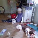 용진농장 이미지