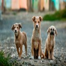 (주)유어디자인