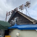 만석농장 | [안산] 신도정육농장 (소고기 정육식당 맛집 주말에 방문한 솔직한 후기)