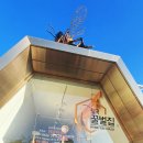 [칠곡휴게소(서울방향) 꿀벌집 구경하고 뷔페식 자율식당에서 식사(임실치즈 요구르트, 단호박 샌드위치)