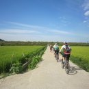 본오매송로 이미지