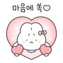 하이,포포 이미지