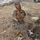 국민힐링 이미지