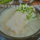 올레길삼계탕 - 아산시 순천향로 664-6 | 아산 삼계탕 중복 영업 올레길삼계탕 신정호 맛집