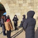 수원-1766 이미지