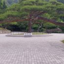 바람소리새소리 Daum카페