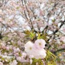 은평-041 이미지