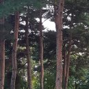 [5편] 옛 경마장 가는 길의 "서울숲" 이미지