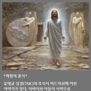 표식 이미지