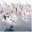 표선백사로 이미지