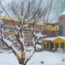 서전주유치원 이미지