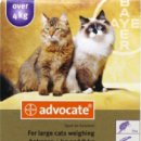 도담동물약국 이미지