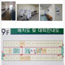 금호누리내과의원 | 온천장 해랑회물회 맛집 리뷰~ 면역력 증진