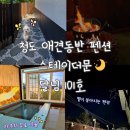 청도 애견동반펜션 스테이더문 달님 101호 투숙후기 자쿠지펜션 독채펜션 청도신축펜션 별이 잘보이는 펜션