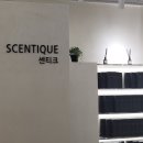 센티크IFC몰점 | ifc몰 센티크 디퓨저 내돈내산 후기(메이듀향 추천!)👍