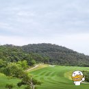 포레스트힐C.C | 우리나라에서 괜찮은 골프장 TOP 50군데 정리해 봤어요 우리나라 골프장 갯수 440여개, 798개 골프코스운영