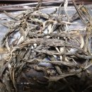 (주)단주 이미지