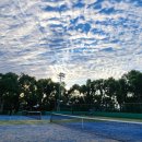 서귀포시 테니스공원 이미지