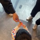 젤리나인커피