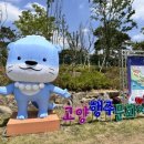 국가대표위너태권도장 이미지