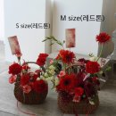 랑온 네이버블로그