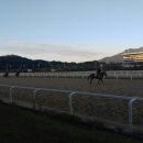 모이라이 이미지