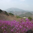 달곡(버스정류장) 이미지