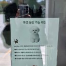 [강릉] 차전자 솔직후기 | 시원한 뷰와 감각적인 인테리어, 과연 음료 맛은?