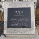영월-64