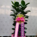 (주)인기엔지니어링 네이버블로그